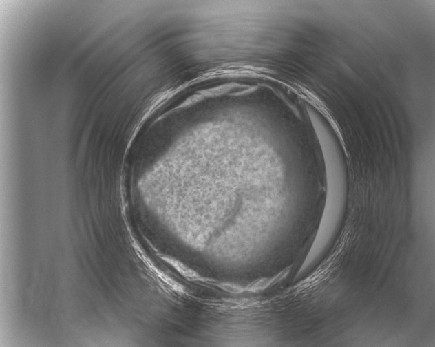 X0000057080997200510010155