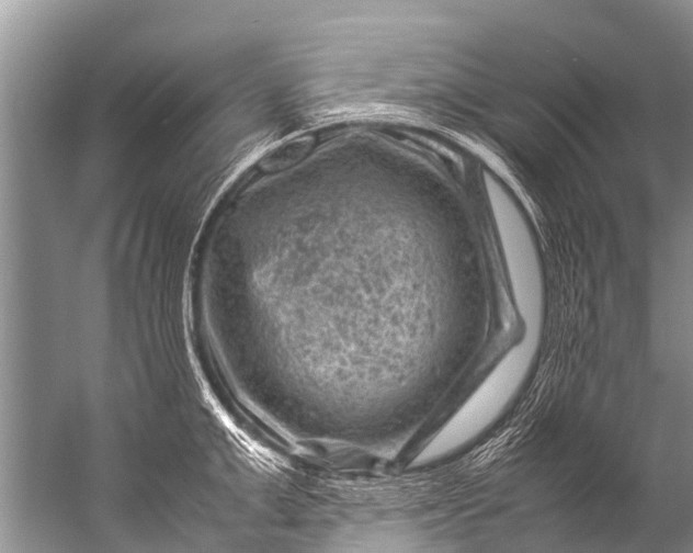 X0000057080999200510010155