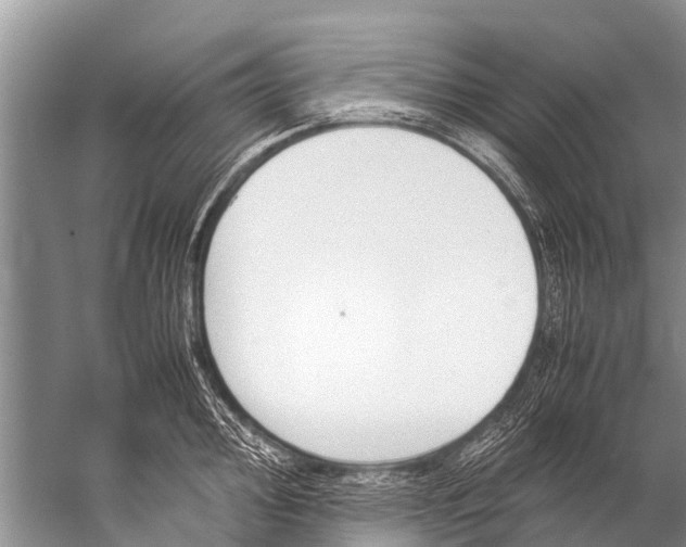 X0000057081000200510010155