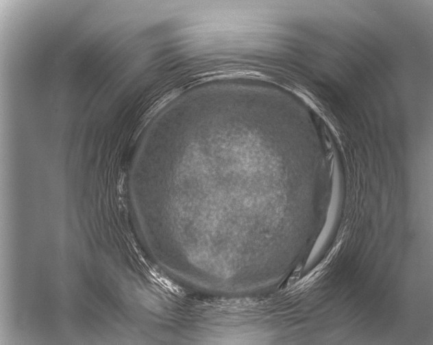 X0000057081001200510010155