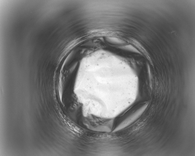 X0000057081002200510010155