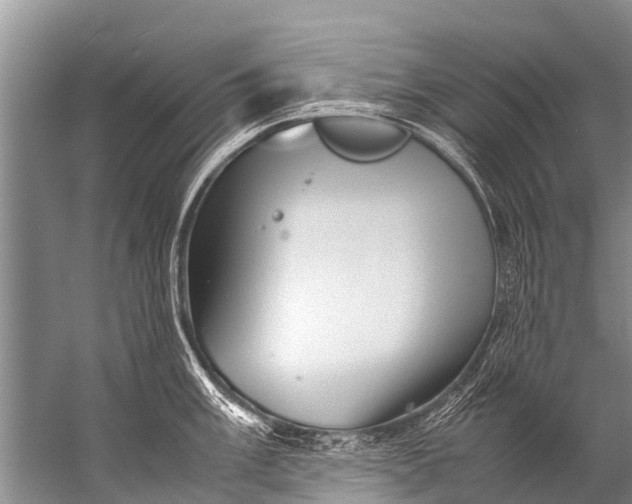 X0000057081003200510010155