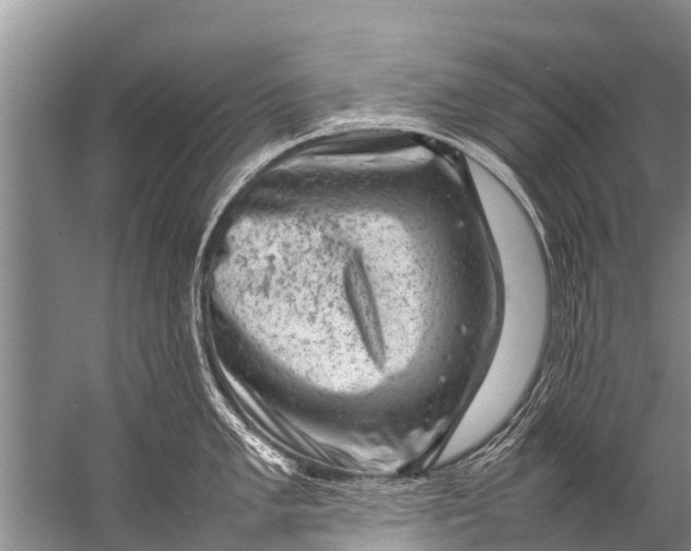 X0000057081005200510010155