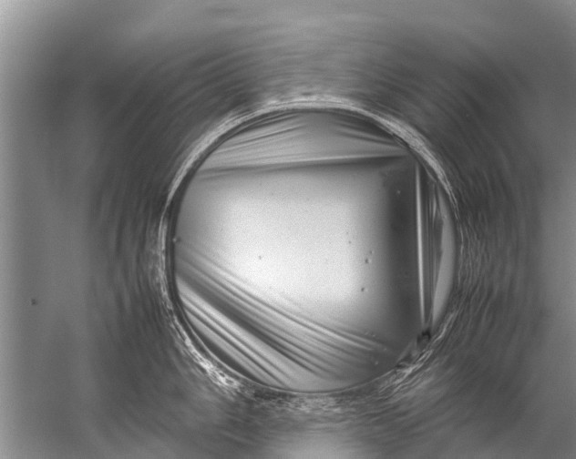 X0000057081006200510010154