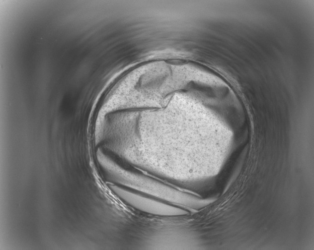 X0000057081008200510010154