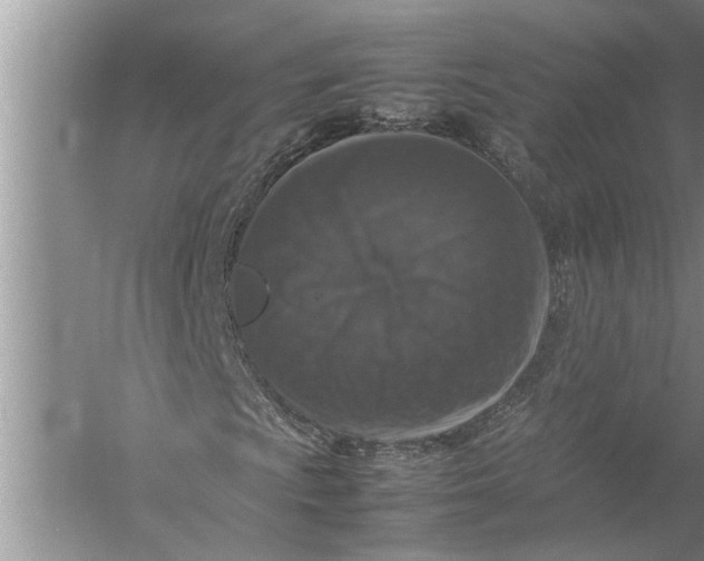 X0000057081009200510010154