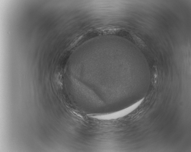 X0000057081010200510010154