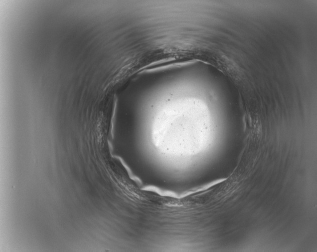 X0000057081012200510010154