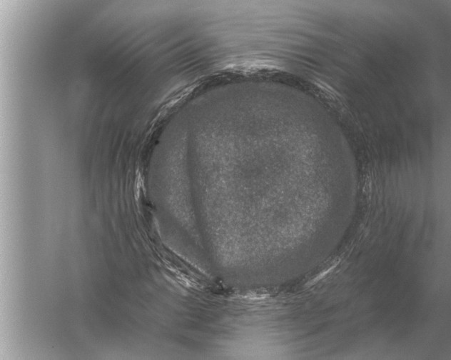 X0000057081014200510010154