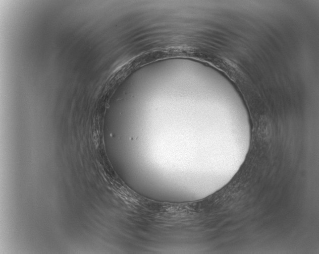 X0000057081015200510010154