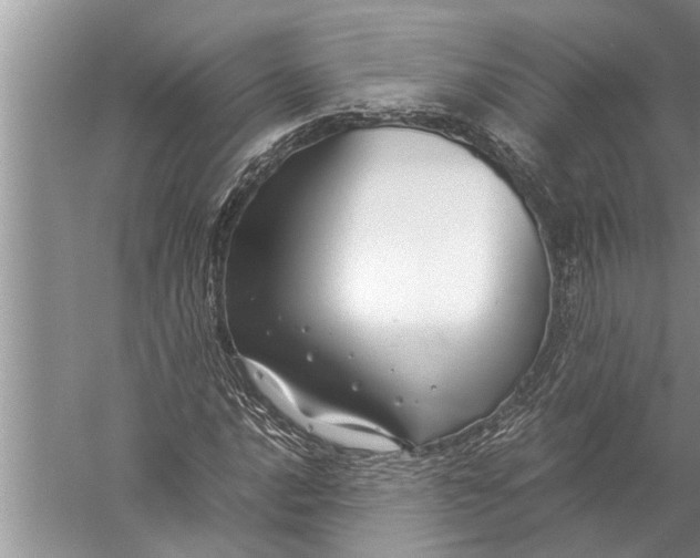 X0000057081016200510010154