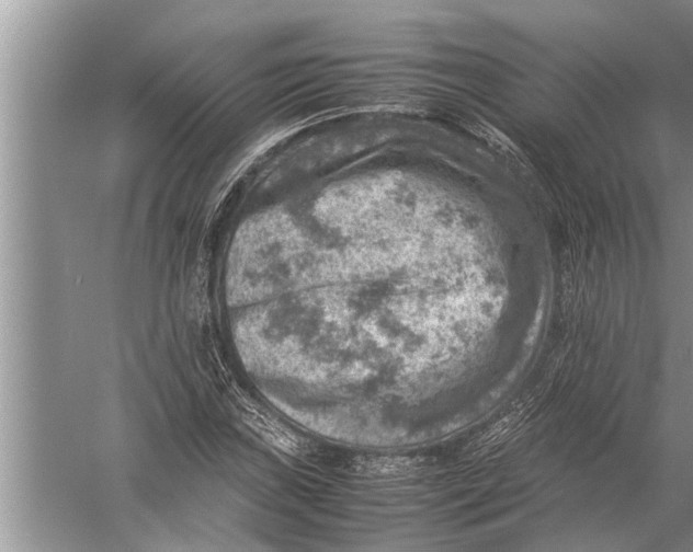 X0000057081019200510010154