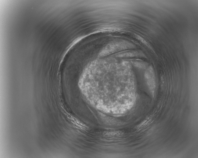 X0000057081021200510010154