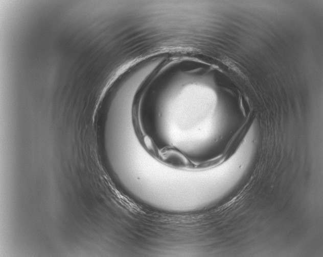 X0000057081022200510010154