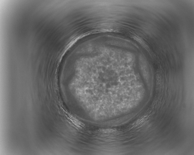 X0000057081023200510010154