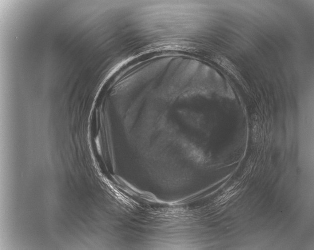 X0000057081024200510010154