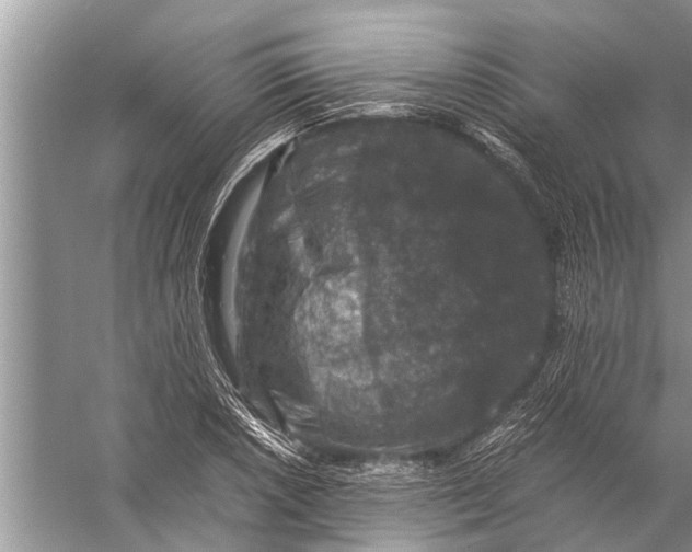 X0000057081026200510010154