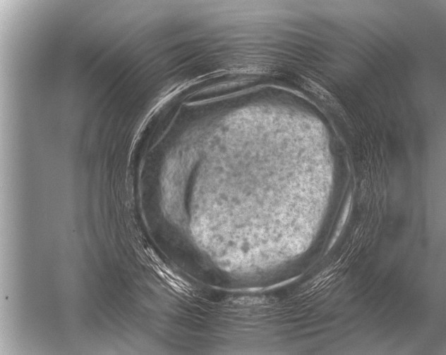 X0000057081027200510010154