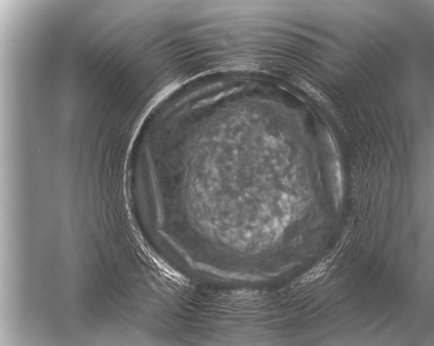 X0000057081029200510010154