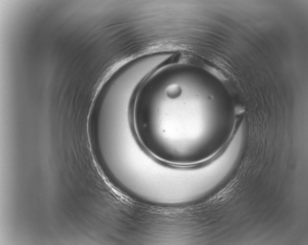 X0000057081030200510010154