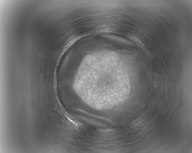 X0000057081031200510010154