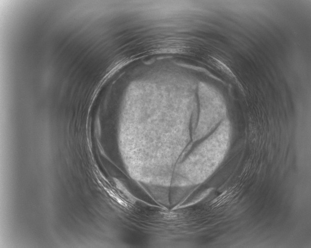 X0000057081035200510010154