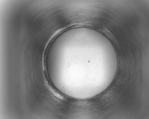 X0000057081036200510010154