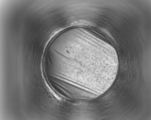 X0000057081040200510010154