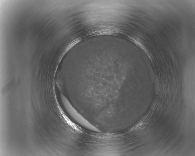 X0000057081042200510010154