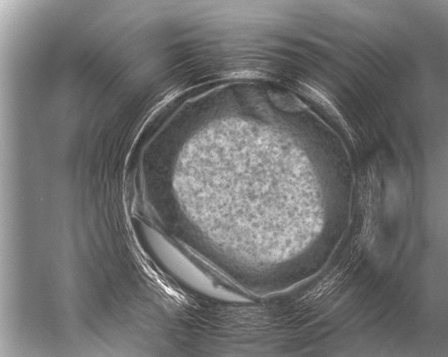 X0000057081043200510010154