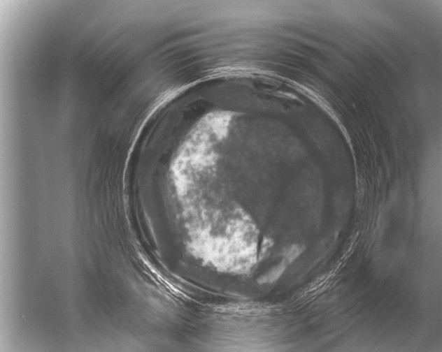 X0000057081045200510010154