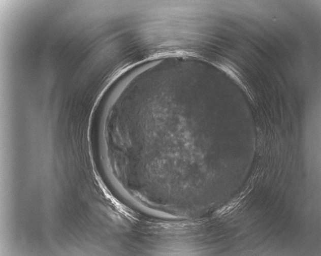 X0000057081046200510010154