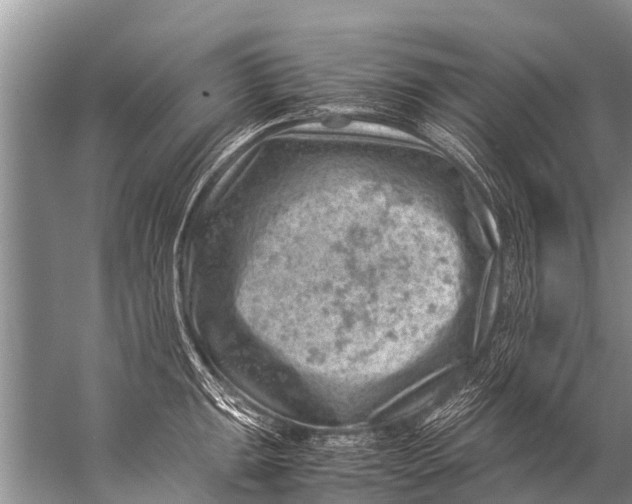 X0000057081047200510010154