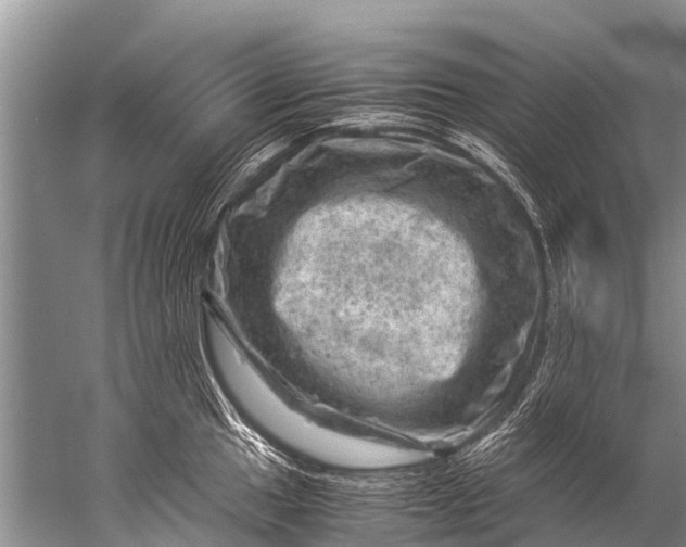 X0000057081049200510010154