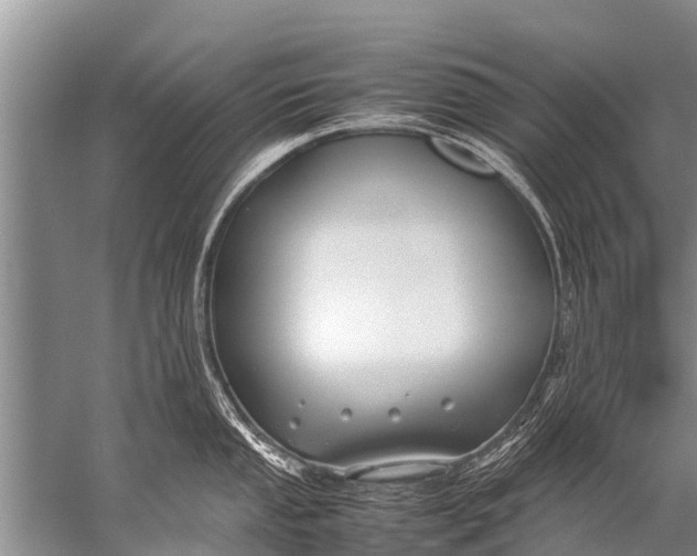 X0000057081053200510010154