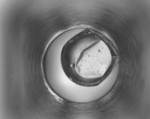 X0000057081054200510010154