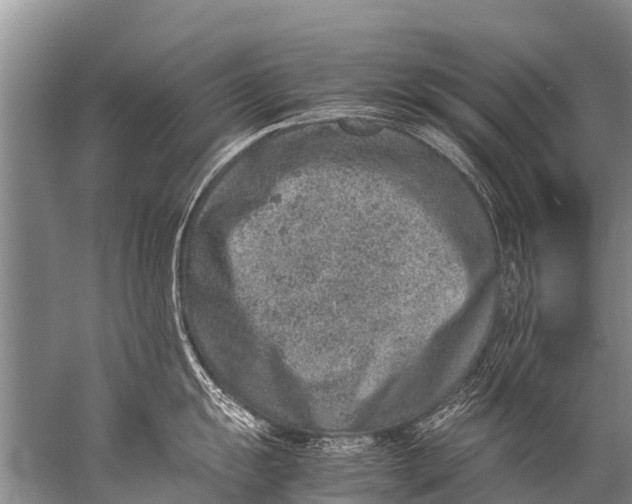 X0000057081055200510010154