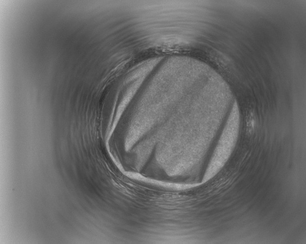 X0000057081060200510010154