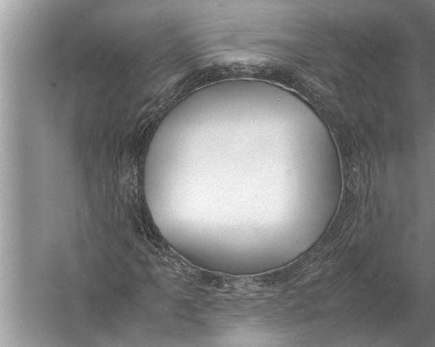 X0000057081061200510010154