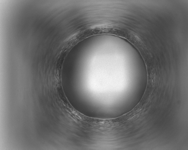 X0000057081062200510010154