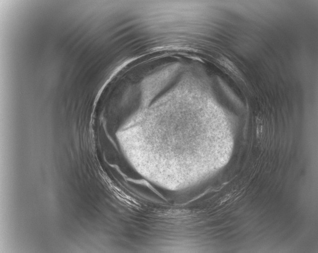 X0000057081068200510010153