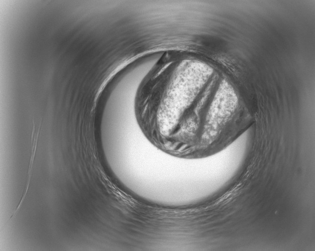 X0000057081069200510010153