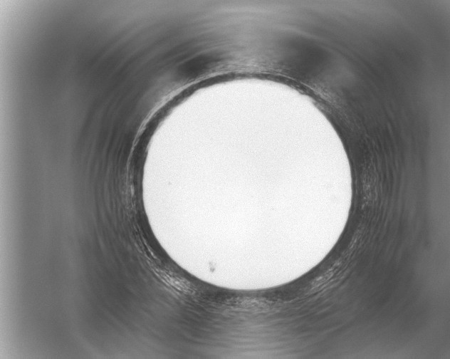 X0000057081070200510010153