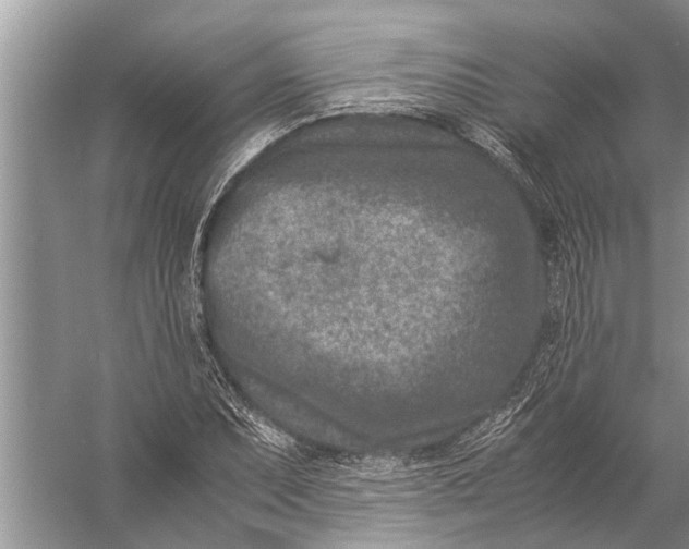 X0000057081071200510010153