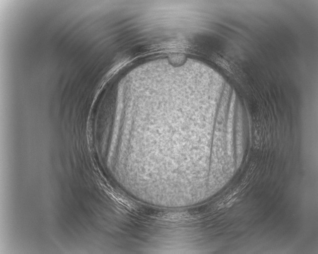 X0000057081074200510010153