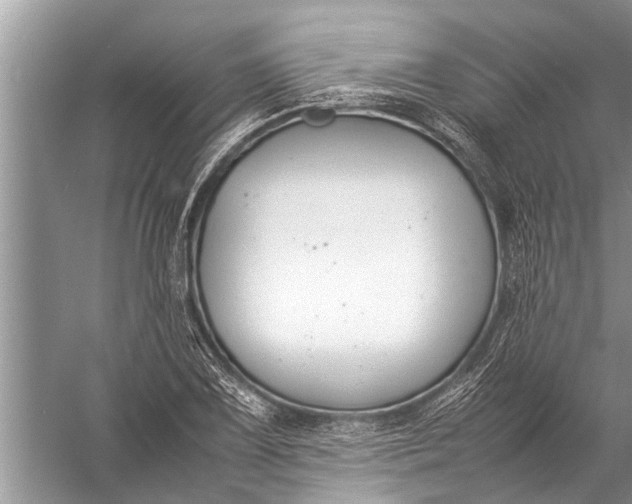 X0000057081075200510010153