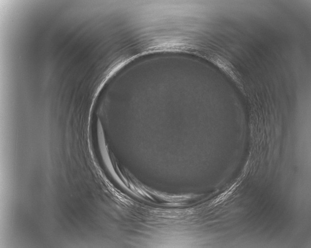 X0000057081077200510010153