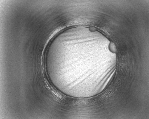 X0000057081078200510010153