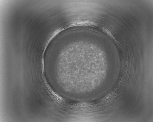 X0000057081079200510010153