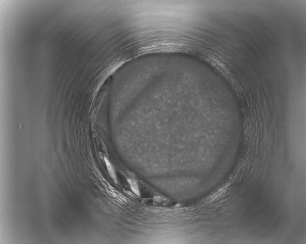 X0000057081081200510010153